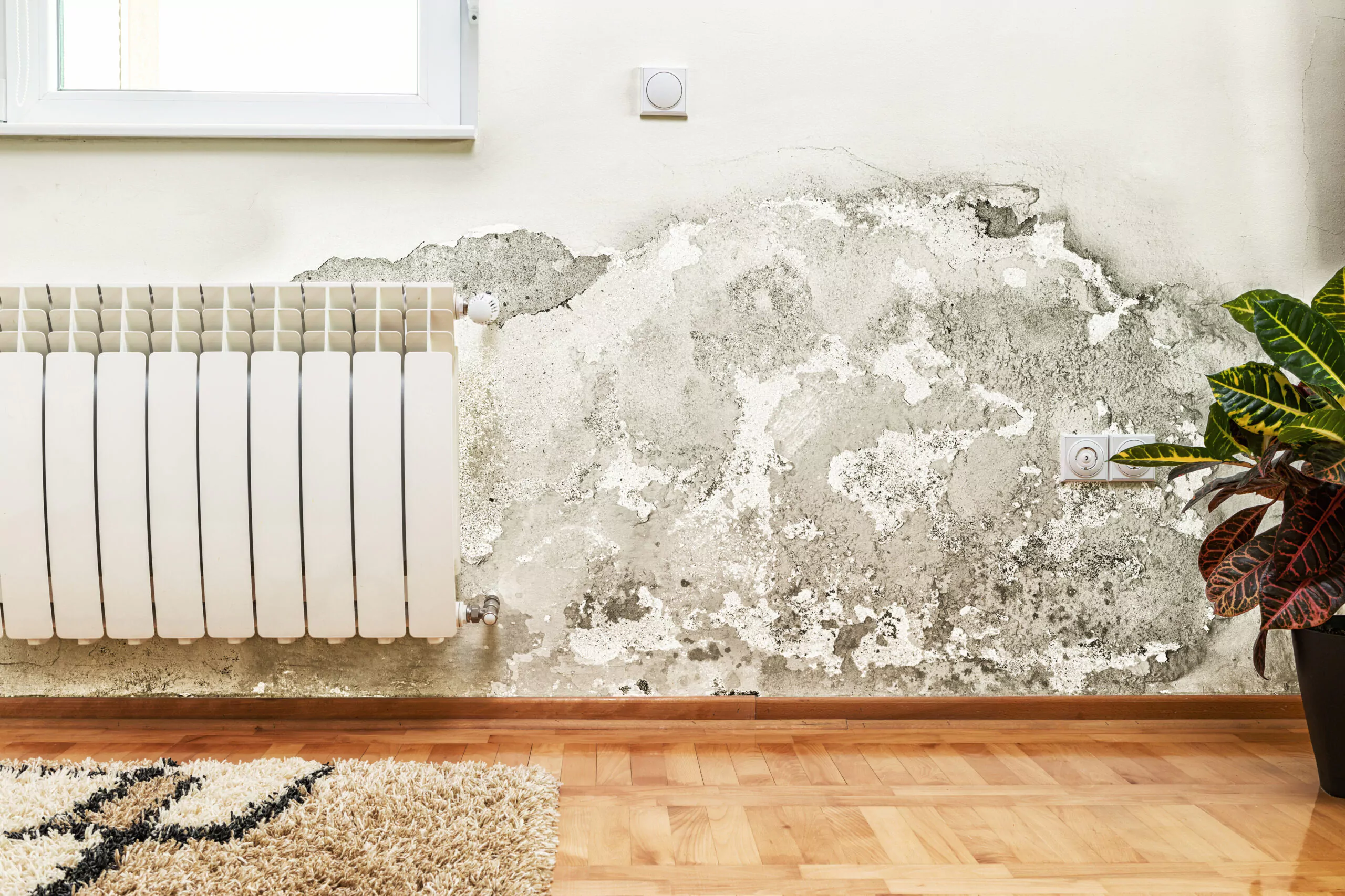 Découvre nos solutions pour votre problème de remontées capillaires à Cambrai, Valenciennes