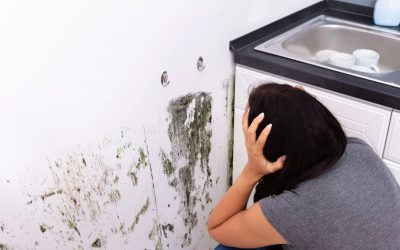 Nettoyage de printemps : des traces noires de moisissures derrière les meubles, faut-il s’inquiéter ?