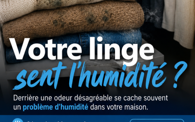 Votre linge sent l’humidité ? Attention à un problème caché dans votre maison